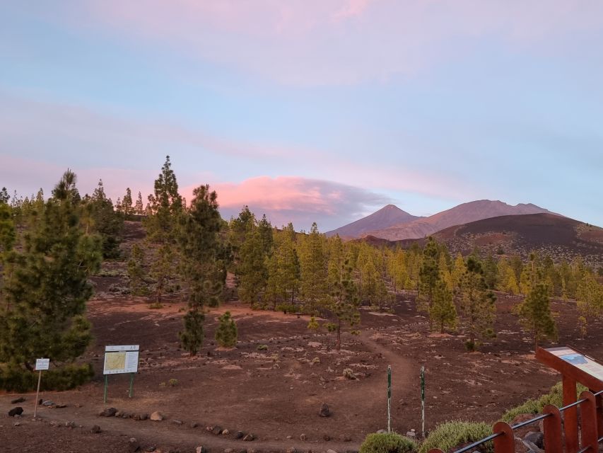 Tenerife: Sunset and Stargazing at Teide National Park - VIP Pickup vs Self-Drive: Choosing the Easiest Night for You