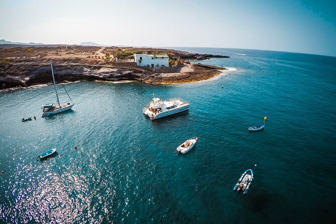 Tenerife Sunset Catamaran tour with transfer - Food and Drinks included. - Whale, Dolphin, Turtle, and Flying Fish Spotting: What You Can Expect