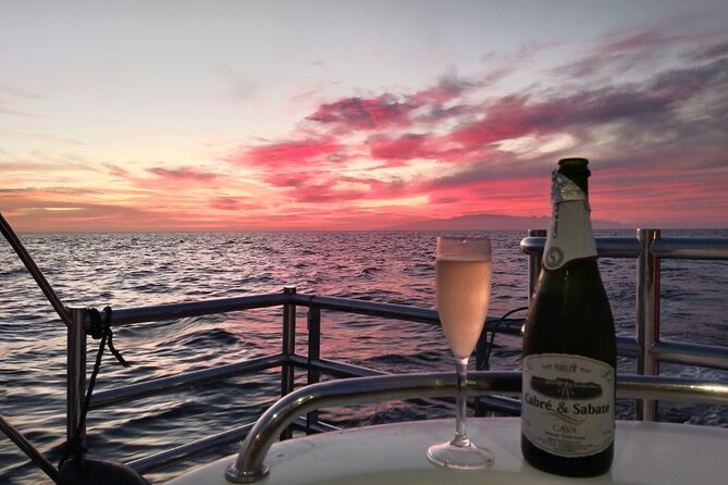 Tenerife Sunset Catamaran tour with transfer - Food and Drinks included. - Should You Book This Tenerife Sunset Catamaran Tour?