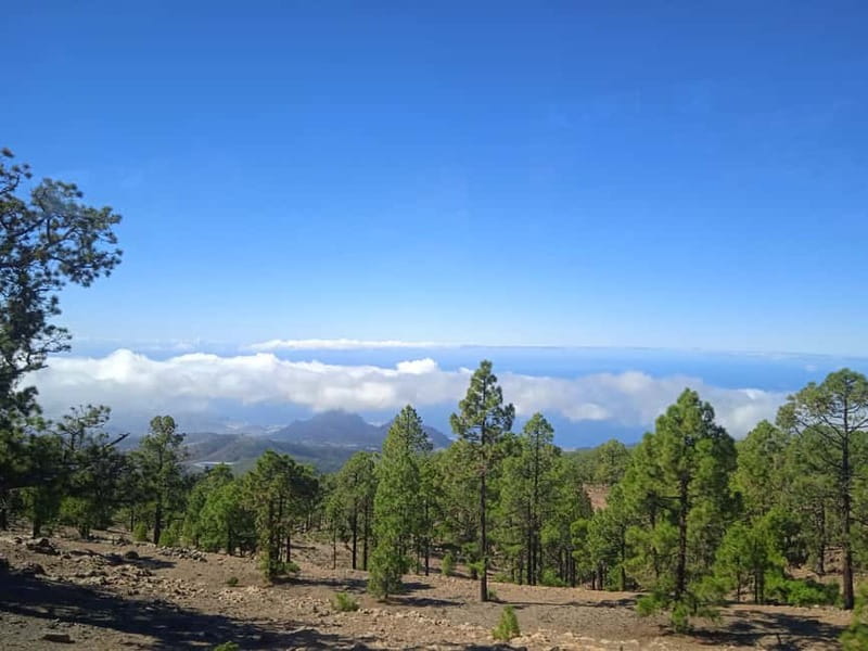 Tenerife: Teide, Icod de los Vinos & Garachico Full Day Tour - Your Guide and Driver: Multilingual Explanations and Keeping Your Hearing in Mind