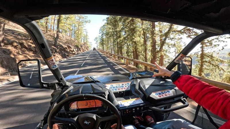 Tenerife: Teide National Park Guided Buggy Tour - The 2,200-Meter Climb: Teide, Roques de García, and Llano de Ucanca