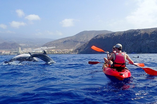 Tenerife: Turtle & Dolphin Kayak Tour with Snorkel & Wetsuit - Gear Check: Wetsuits, Snorkel Setup, and Staying Warm