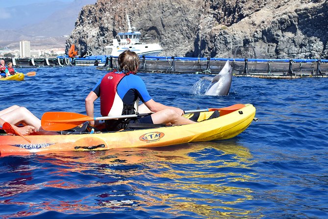 Tenerife: Turtle & Dolphin Kayak Tour with Snorkel & Wetsuit - Paddling the West Coast: Bays, Mountains, and a Real Workout