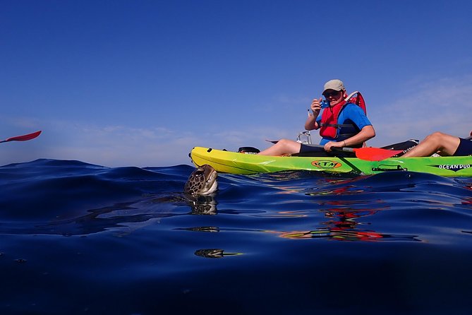 Tenerife: Turtle & Dolphin Kayak Tour with Snorkel & Wetsuit - Snorkel Break Mid-Tour: What Makes It Worth the Effort