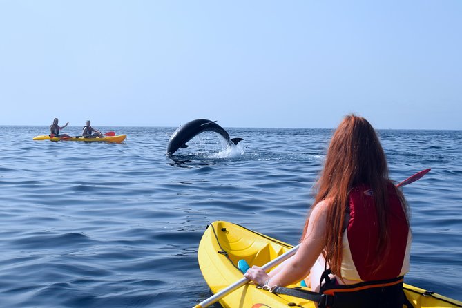Tenerife: Turtle & Dolphin Kayak Tour with Snorkel & Wetsuit - Guides, Safety, and How the Group Stays Together
