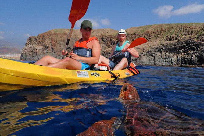 Tenerife: Turtle & Dolphin Kayak Tour with Snorkel & Wetsuit - Los Cristianos Meeting Point and What Happens Before You Paddle