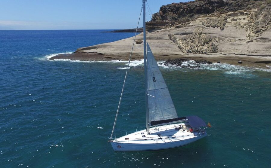 Tenerife: Whale and Dolphin Watching Tour by Sailboat - Key Things You Can Expect on This Tenerife Sail Trip
