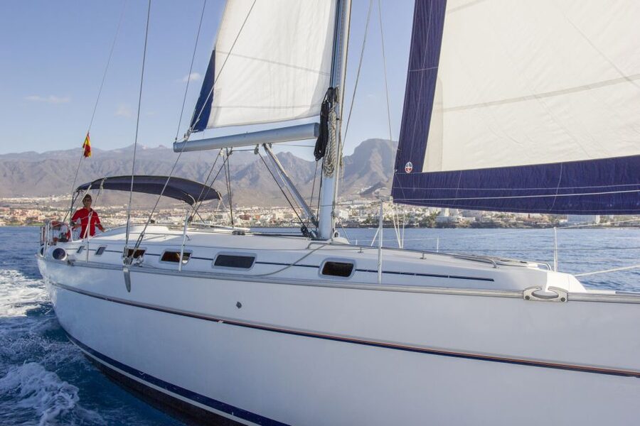 Tenerife: Whale and Dolphin Watching Tour by Sailboat - The Whale and Dolphin Watching Part: How the Crew Changes the Whole Experience