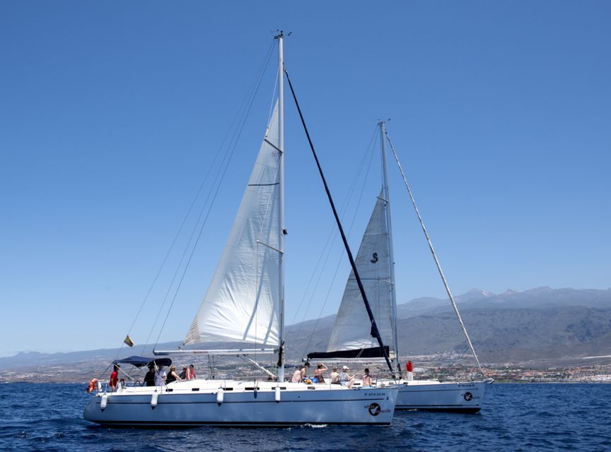 Tenerife: Whale and Dolphin Watching Tour by Sailboat - What the Boat Experience Feels Like on a Crowded Day