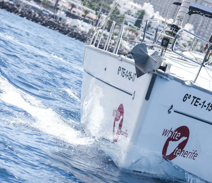 Tenerife: Whale and Dolphin Watching Tour by Sailboat - Comfort Tips That Actually Help (Especially for Wind and Motion)
