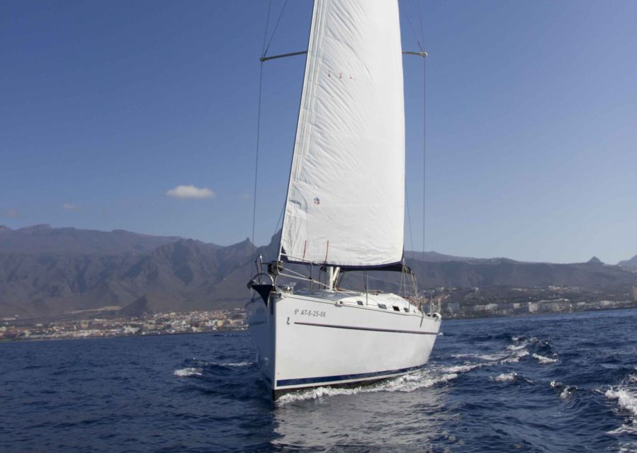 Tenerife: Whale and Dolphin Watching Tour by Sailboat - Boarding at Puerto Colón Dock 8, Then Settling In on Deck