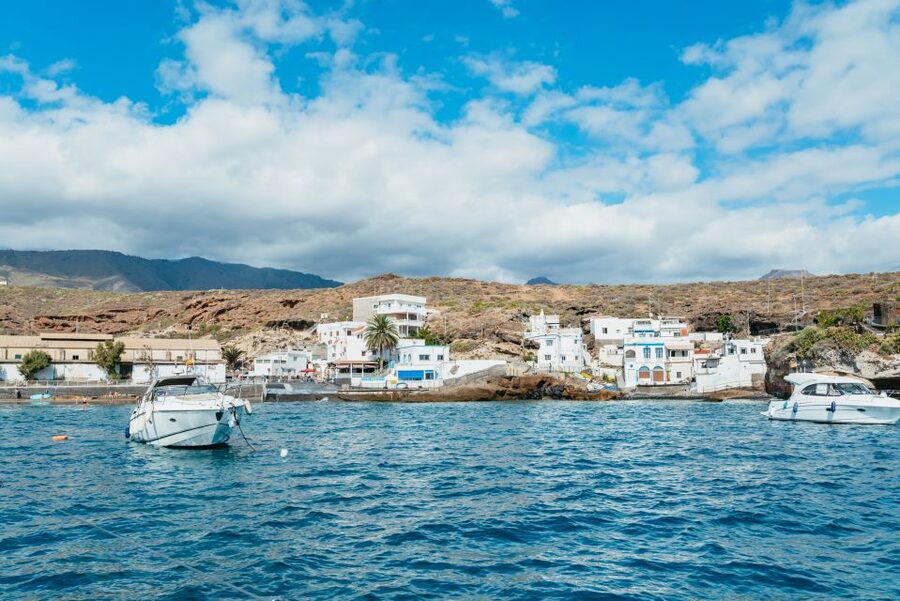 Tenerife: Whale & Dolphin Watching with Drinks and Snacks - Who This Tour Suits Best, and Who Should Rethink It