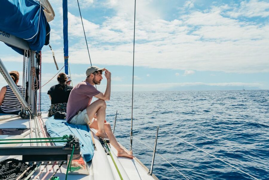 Tenerife: Whale & Dolphin Watching with Drinks and Snacks - Anchor Time in a Secluded Bay: Swimming and Snorkeling with Turtles