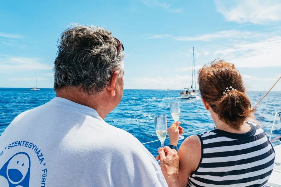 Tenerife: Whale & Dolphin Watching with Drinks and Snacks - Itinerary Flow: Van Ride, Sail Time, and Back Again