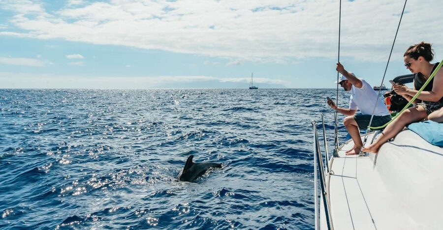 Tenerife: Whale & Dolphin Watching with Drinks and Snacks - Getting to the Dock, Finding Pantalan Nº4, and What Pickup Really Means