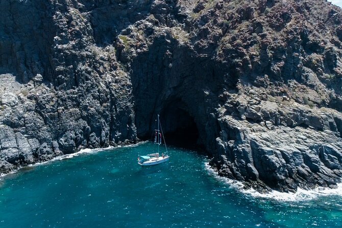 Tenerife Whale Watching and Snorkeling Yacht Trip - Key highlights before you go