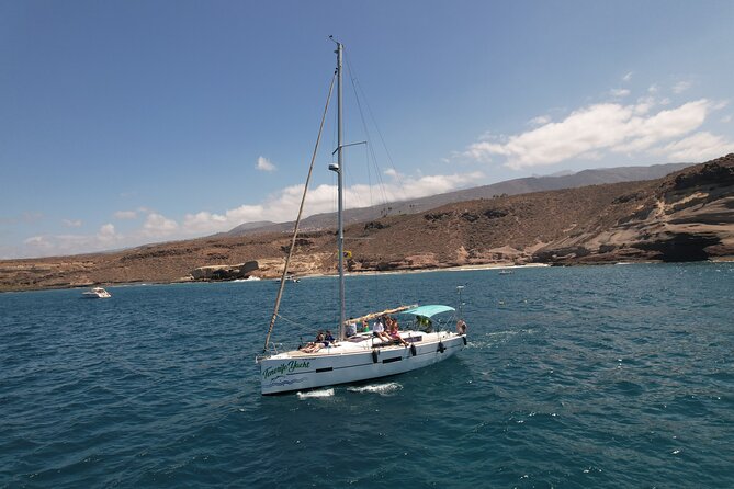 Tenerife Whale Watching and Snorkeling Yacht Trip - Where the Yacht Trip Starts, and What to Do in Puerto Colón