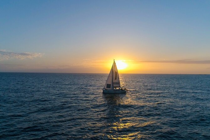 Tenerife Whale Watching and Snorkeling Yacht Trip - Dolphin and Pilot Whale Watching: The Part You Book For