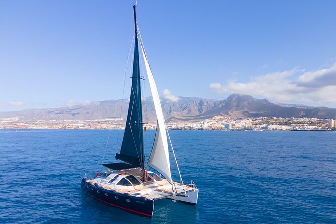 Tenerife Whales and Dolphins Watching Experience in Catamaran - On-board catering: simple food, real comfort, no fuss