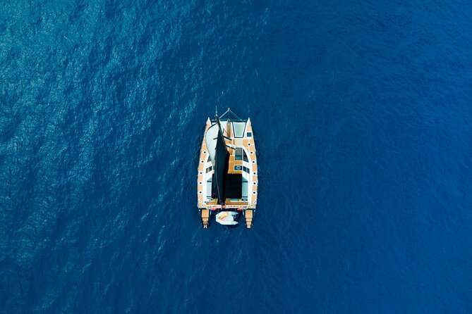 Tenerife Whales and Dolphins Watching Experience in Catamaran - Small-group comfort: what 12 people changes on a catamaran