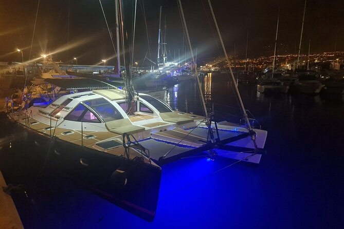 Tenerife Whales and Dolphins Watching Experience in Catamaran - Getting to the boat: White Tenerife, pickup, and what to expect