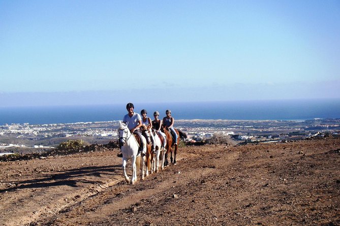 The Best Horse Riding Experience in Gran Canaria (2 hours) - Key things to know before you book