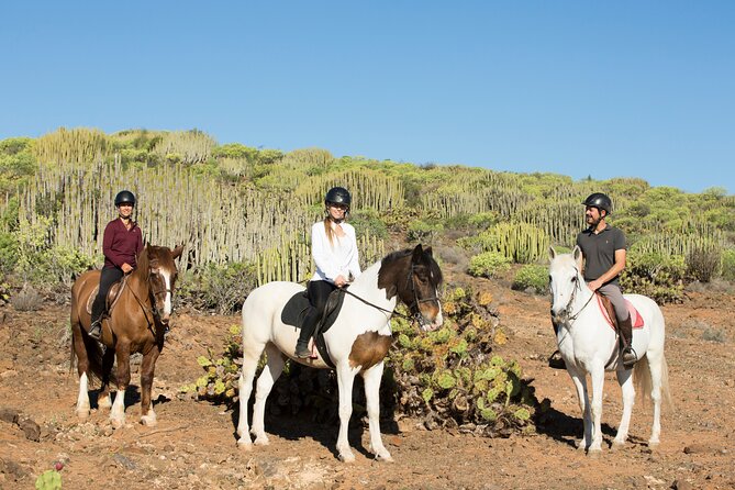 The Best Horse Riding Experience in Gran Canaria (2 hours) - Safety culture on the trail: how the guides keep things controlled
