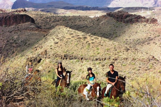 The Best Horse Riding Experience in Gran Canaria (2 hours) - What to bring and what to expect on a Gran Canaria morning or afternoon