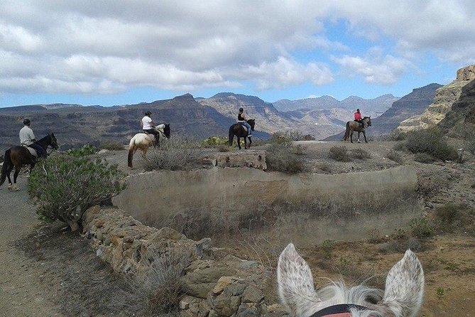 The Best Horse Riding Experience in Gran Canaria (2 hours) - The first big payoff: Maspalomas views and dune energy from above