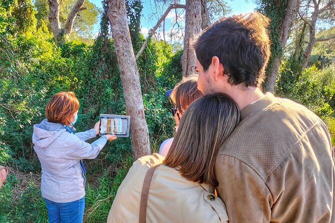 The Original Albufera Tour: Barraca, Boat Ride & Local Guide - Key points to know before you go