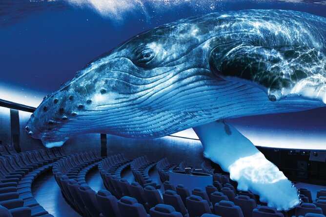 Ticket Palma Aquarium - Key Highlights You Should Know Before You Go