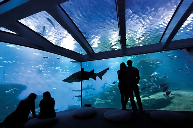 Ticket Palma Aquarium - Getting to Palma Aquarium from Playa de Palma