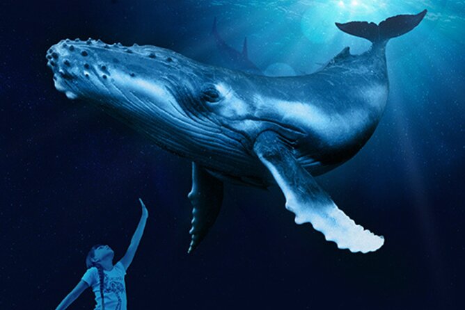 Ticket Palma Aquarium - Whale Exhibits, Shark Feeding, and the 3D Cinema Stop
