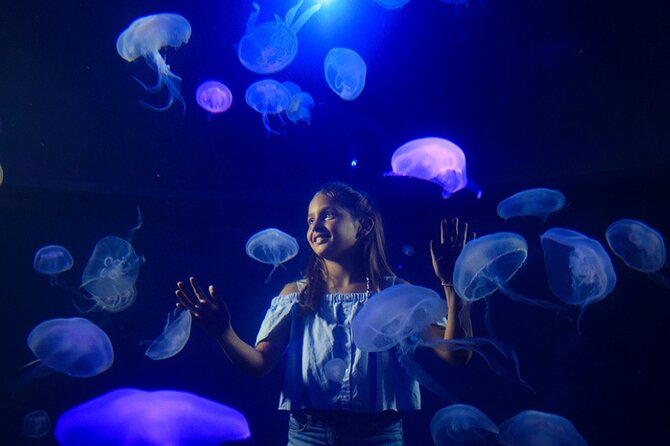 Ticket Palma Aquarium - Timing, Closing-Time Pressure, and a Better Pace