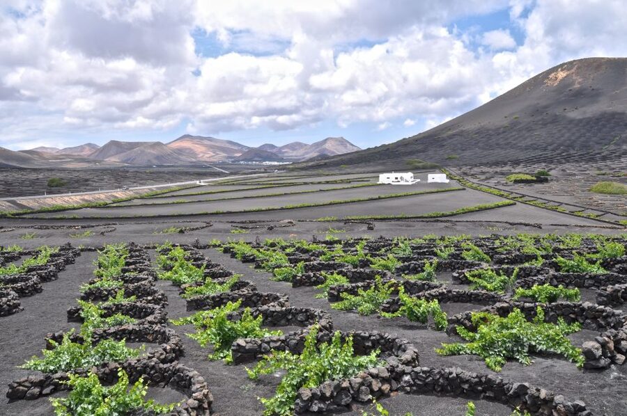 Timanfaya And El Golfo For Cruise Passengers (Mornings) - Meeting the coach at 08:45, find it fast