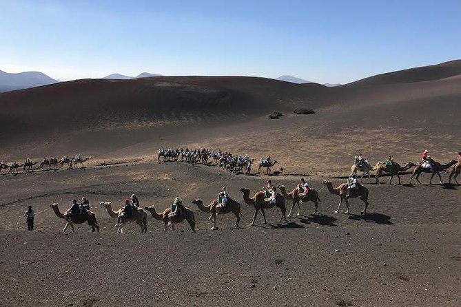 Timanfaya & Lanzarote Volcano Experience - Timanfaya plus El Golfo and La Geria: the smart order