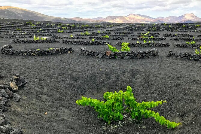 Timanfaya & Lanzarote Volcano Experience - The Route of the Volcanoes, panoramic views from inside the bus