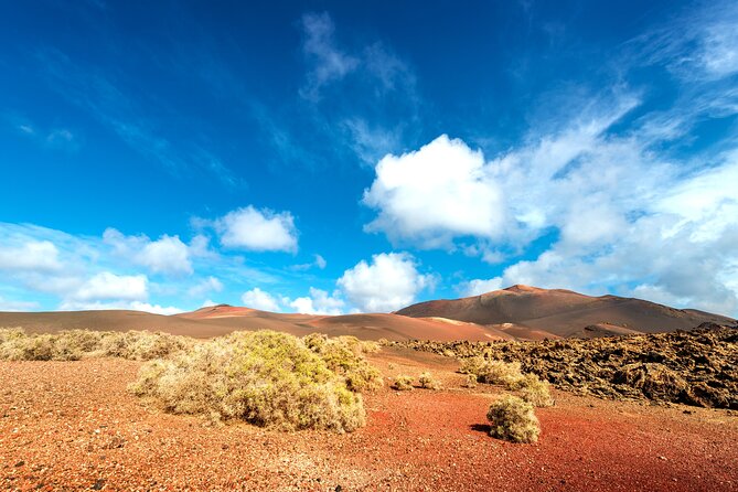 Timanfaya & Lanzarote Volcano Experience - Los Hervideros: cliffs, sea impact, and photo opportunities