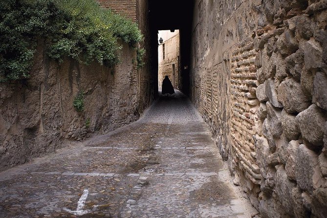 Toledo Half-Day Tour with St Tome Church & Synagoge from Madrid - Price and value: what $62.91 buys you
