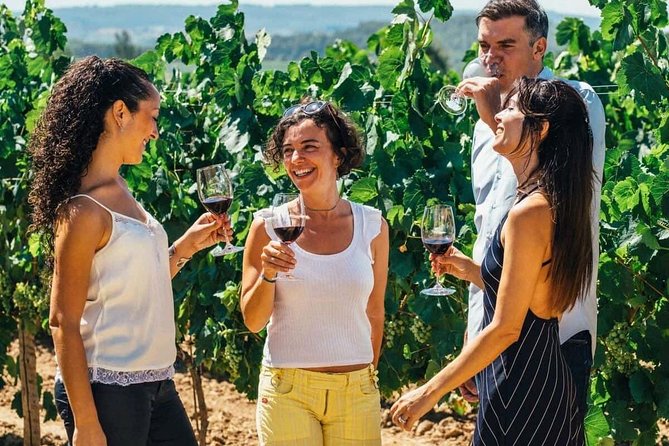 Toledo Tour & Vineyard Walk with Wine Tasting from Madrid - Madrid to Toledo in one 9-hour block