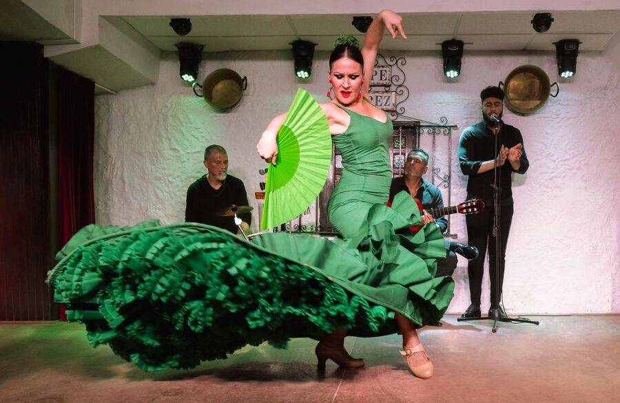 Torremolinos: Flamenco Show with Drinks - Who This Flamenco Night Suits Best
