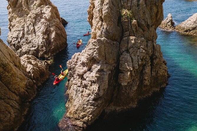 Tossa de Mar: Kayak & Snorkel Tour with Paella from Barcelona - Snorkeling Time and Wildlife Encounters, With Safety Built In