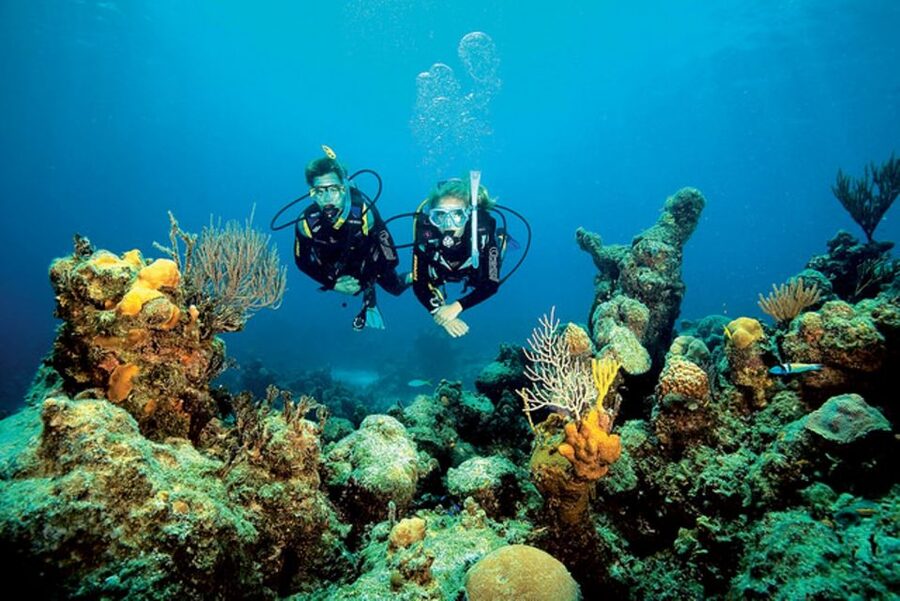 Tossa de Mar: Scuba Diving Experience for Beginners - Tossa de Mar, and why this beginner setup makes sense
