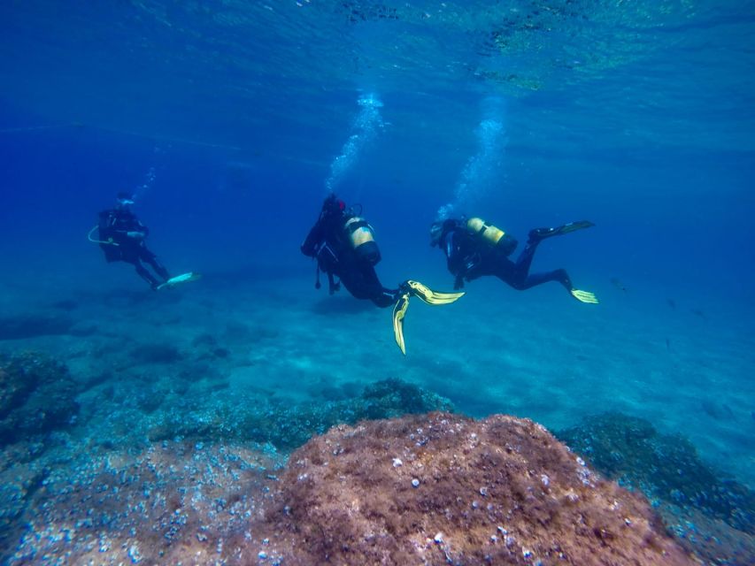 Tossa de Mar: Scuba Diving Experience for Beginners - What happens during the 3-hour SSI Try Scuba experience