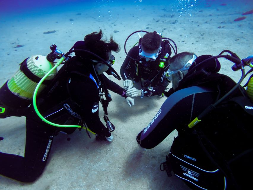 Tossa de Mar: Scuba Diving Experience for Beginners - Should you book this beginner scuba program in Tossa de Mar?