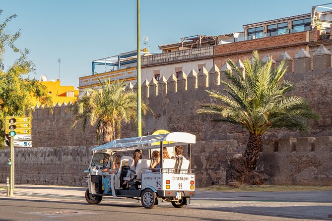 Tour Welcome Seville with Local Guide in Eco Tuk Tuk Private - Key highlights at a glance