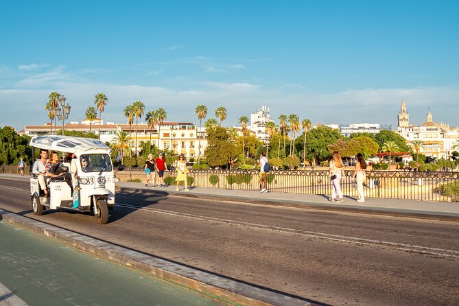 Tour Welcome Seville with Local Guide in Eco Tuk Tuk Private - San Telmo and the Royal Tobacco Factory: why these buildings matter