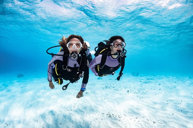Try Dive - PADI Discover Scuba Diving in Tenerife - A 3-hour try scuba session in Radazul (3:00 pm start)