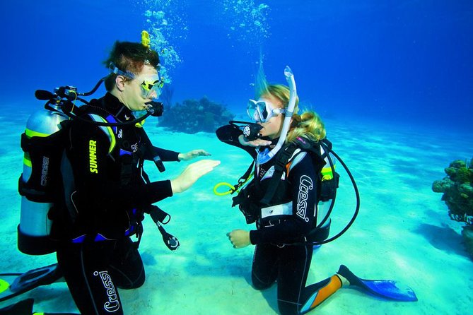 Try Dive - PADI Discover Scuba Diving in Tenerife - What’s included, what isn’t, and how to plan your day