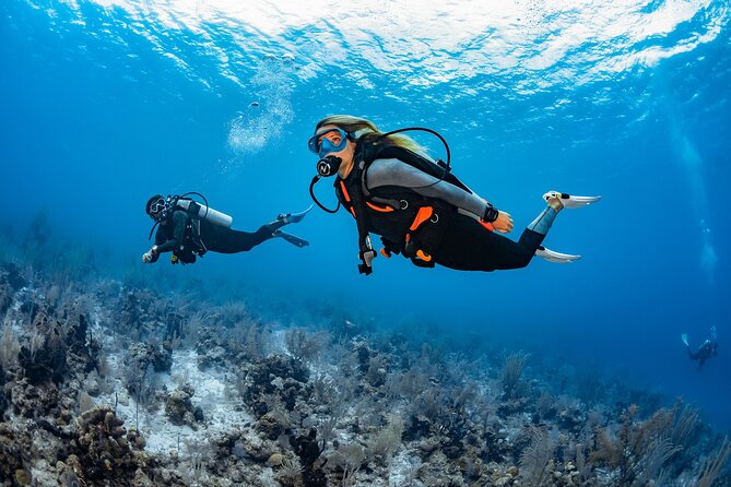 Try Dive - PADI Discover Scuba Diving in Tenerife - What happens at the Scubanana center before you hit the water